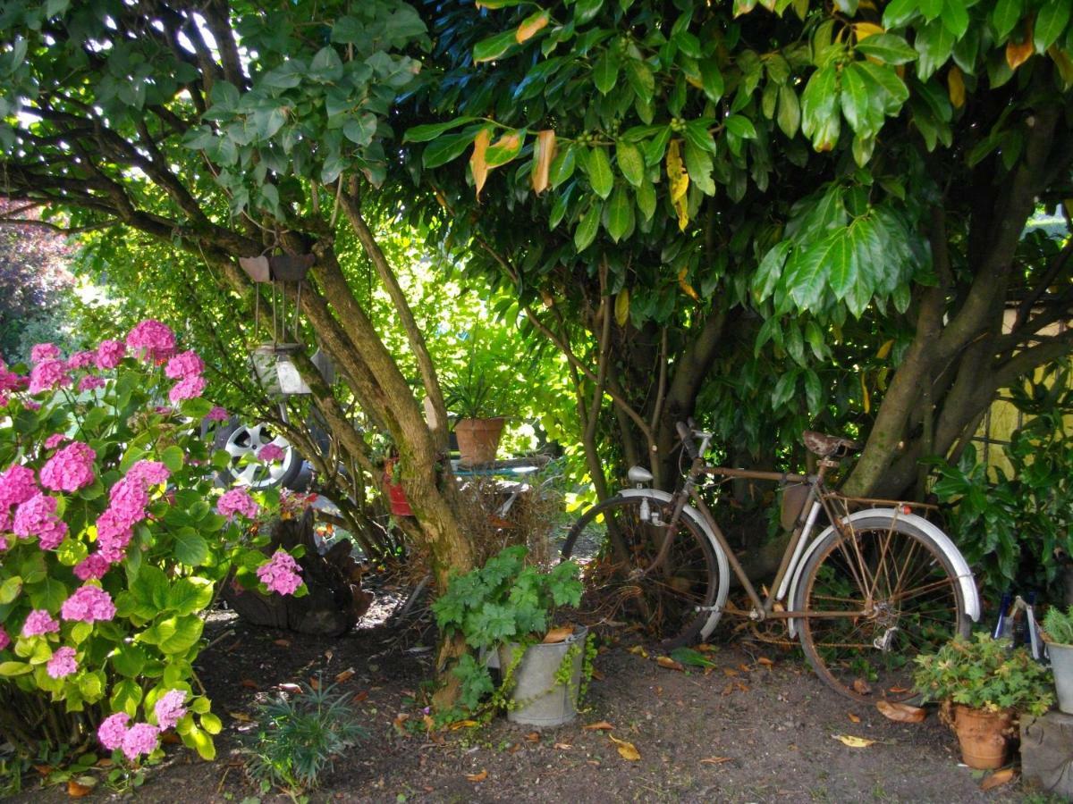 Huby-Saint-Leu Au Bois Dormant B&B 외부 사진